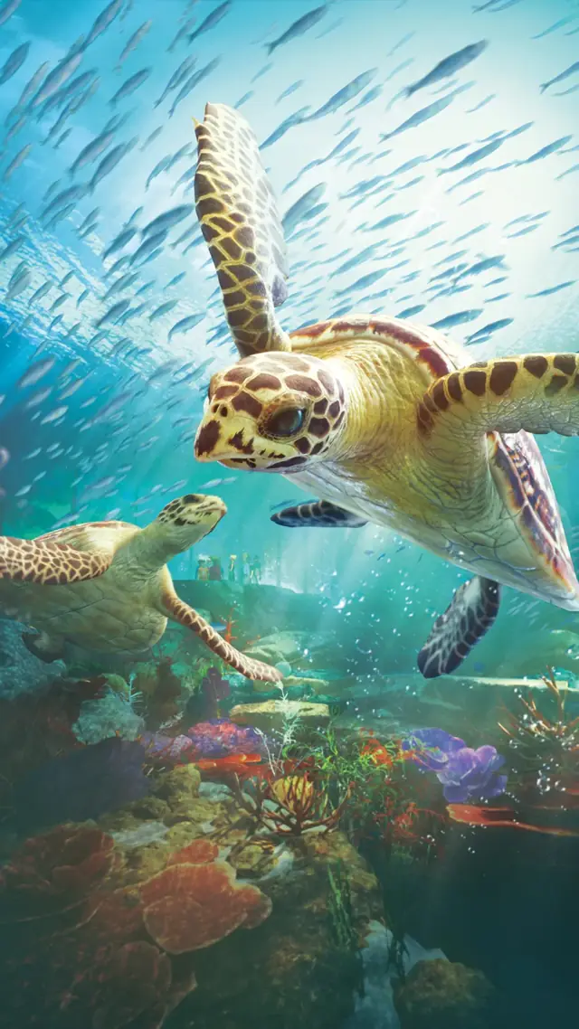 Official Planet Zoo 2 painted artwork of hawksbill turtles in an aquarium